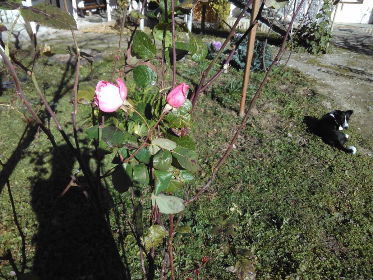 9 Plus - Orbeli Exterior foto