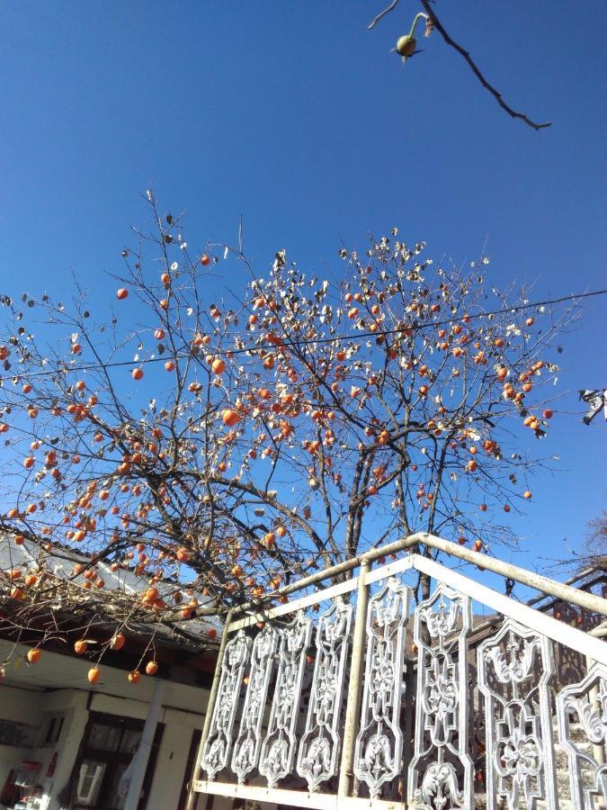 9 Plus - Orbeli Exterior foto