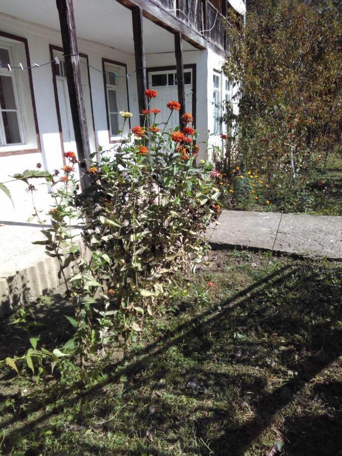 9 Plus - Orbeli Exterior foto