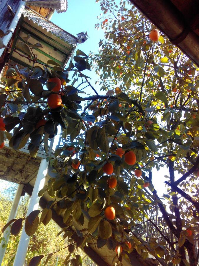 9 Plus - Orbeli Exterior foto