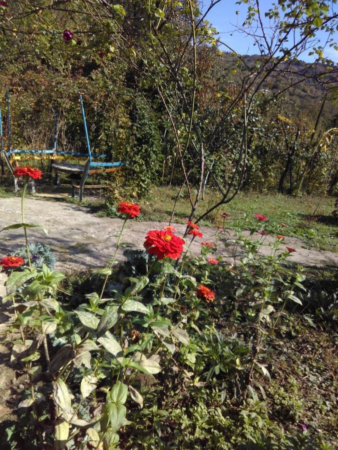 9 Plus - Orbeli Exterior foto