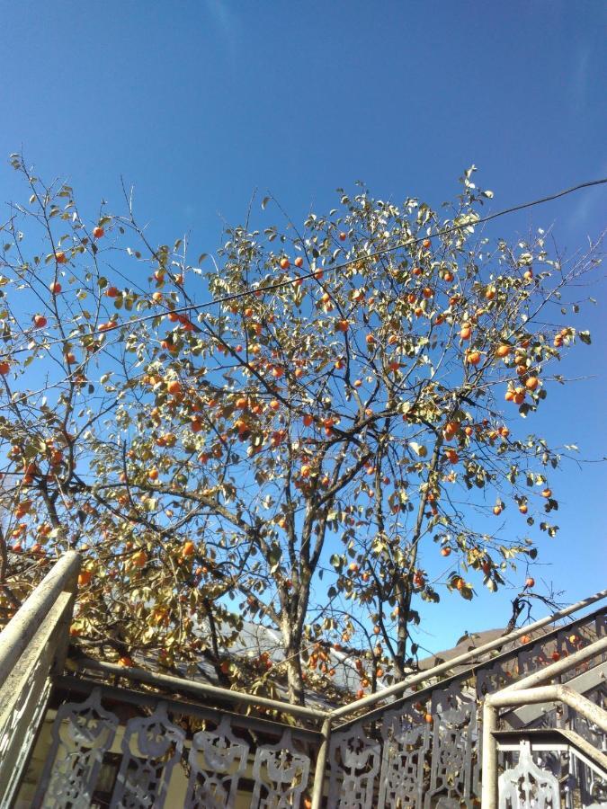 9 Plus - Orbeli Exterior foto