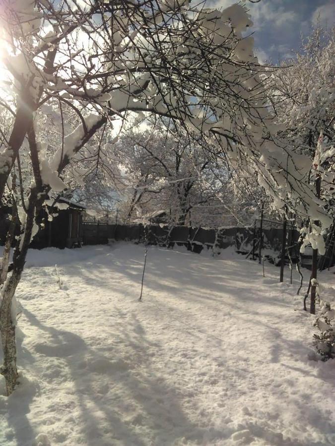 9 Plus - Orbeli Exterior foto